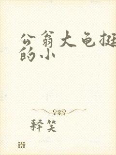 公翁大龟挺进我的小