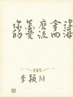 你怎么舍得让我的爱流向海