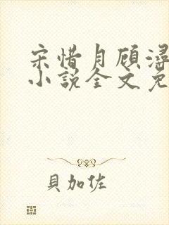 宋惜月顾浔渊的小说全文免费阅读