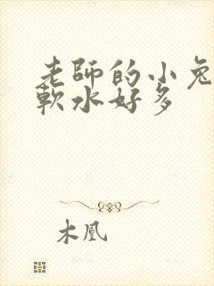 老师的小兔子好软水好多