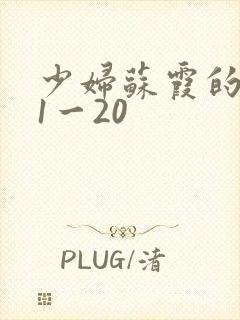 少妇苏霞的沉沦1一20