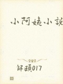 小阿姨小说