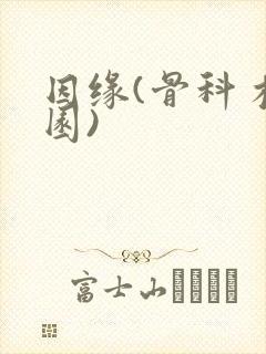 因缘(骨科 校园)