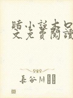 赌小说木口银全文免费阅读笔趣阁