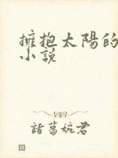 拥抱太阳的月亮小说