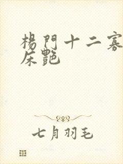 杨门十二寡妇肉床艳