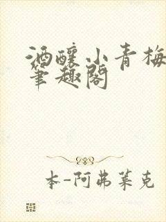 酒酿小青梅po笔趣阁