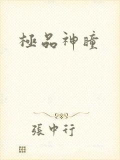 极品神瞳