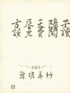 方辰天阳子的小说免费阅读