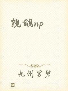 觊觎np
