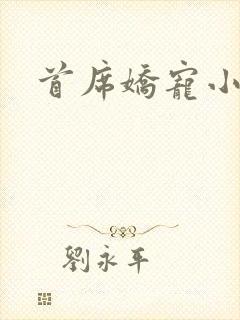 首席娇宠小情人