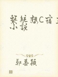 系统想C宿主的小说