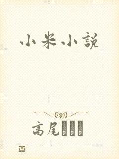 小米小说