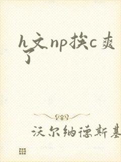 h文np挨c爽了