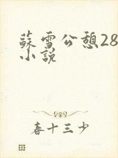 苏雪公憩28篇小说