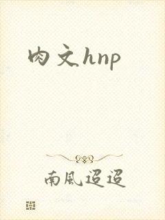 肉文hnp
