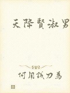 天降贤淑男小说