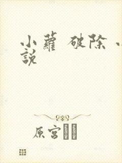 小萝 破除 小说