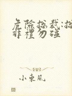 危险总裁:总裁非礼勿碰