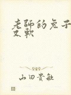 老师的兔子又大又软