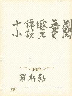 十锦缎无删原著小说免费阅读