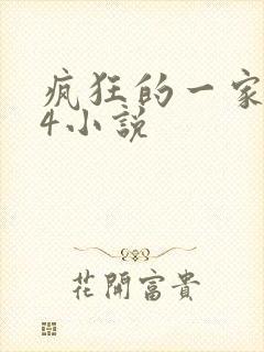 疯狂的一家ps4小说