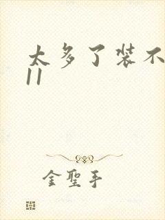 太多了装不下H11