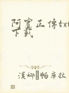 阿宾正传txt下载