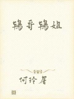 鸨哥鸨姐