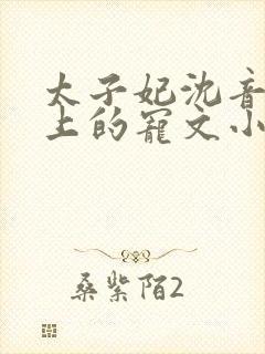 太子妃沈音和皇上的宠文小说