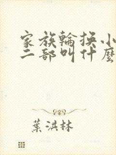 家族轮换小说第二部叫什么名字
