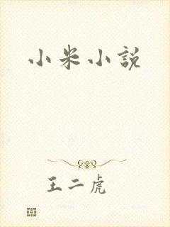 小米小说