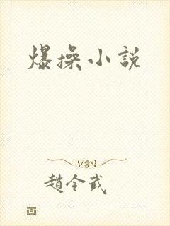 爆操小说