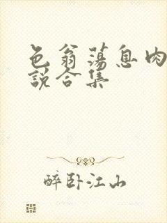 色翁荡息肉欲小说合集