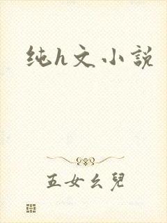 纯h文小说