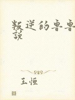 叛逆的鲁鲁修小说