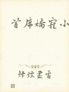 首席娇宠小情人