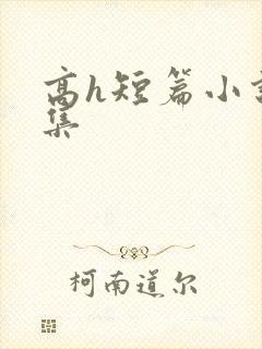 高h短篇小说合集