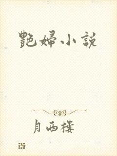 艳妇小说