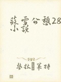 苏雪公憩28篇小说
