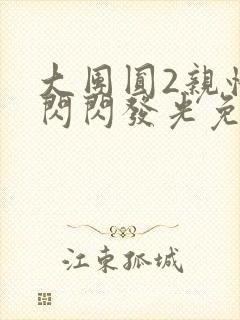 大团圆2亲情会闪闪发光免费