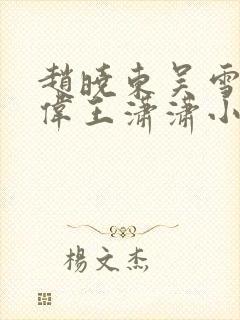 赵晓东吴雪晴郑伟王潇潇小说名字