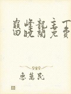 巅峰龙主丁长顺田晓兰免费阅读