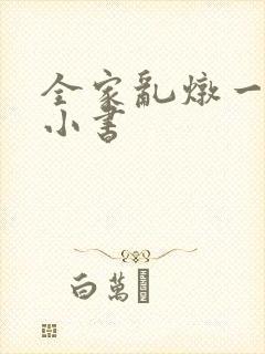 全家乱炖一锅烩小书