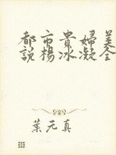 都市贵妇美腿小说杨冰凝全文阅读