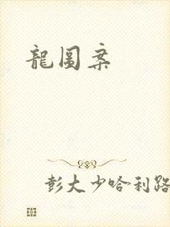 龙图案