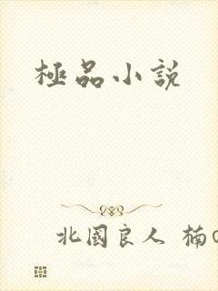 极品小说