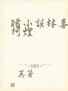 赌小说林喜朝和柯煜