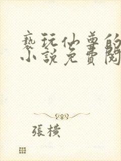 亵玩仙尊的道侣小说免费阅读