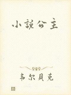 小说公主